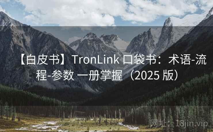 【白皮书】TronLink 口袋书：术语-流程-参数 一册掌握（2025 版）