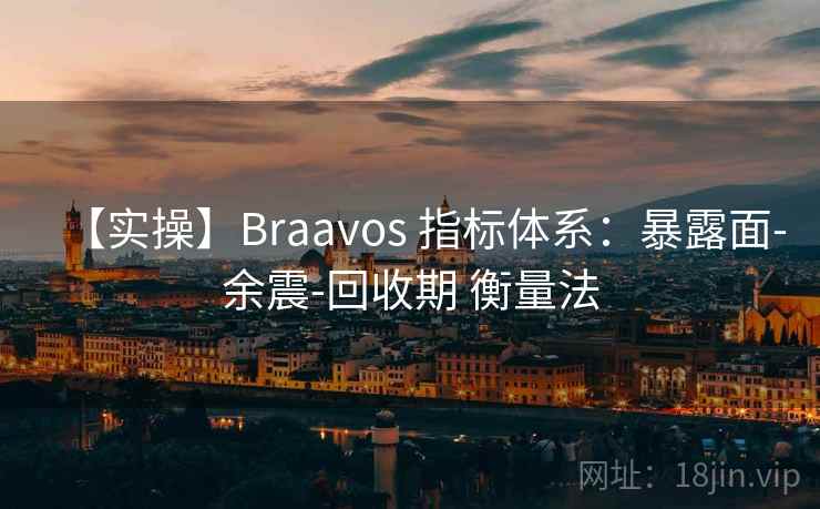 【实操】Braavos 指标体系：暴露面-余震-回收期 衡量法